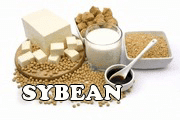 sybean soya bean tip