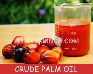 CPO Crude palm oil tips