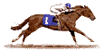 gif-horserace