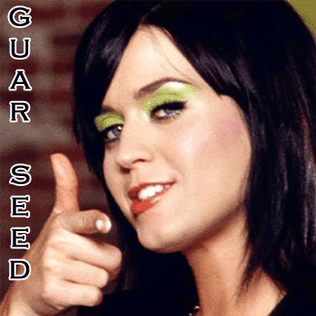 ncdex Guar Seeds Calls