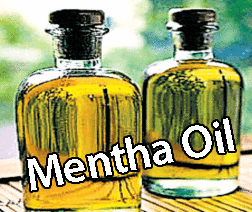 mcx mentha oil
