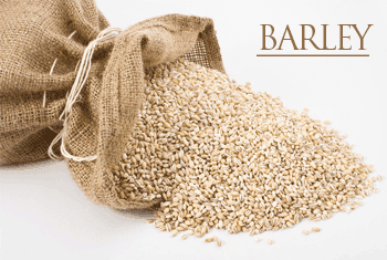 mcx-barley