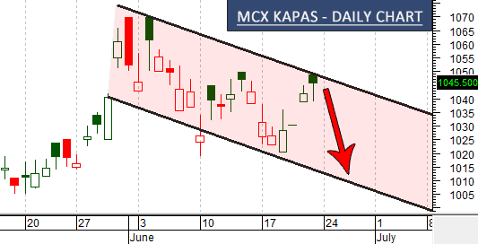 mcx-kapas-chart