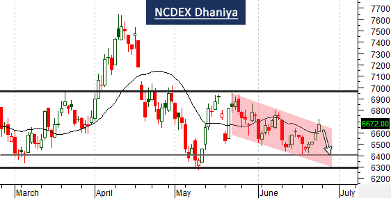 ncdex-dhaniya-chart