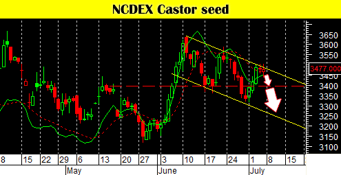 ncdex-castor-seed