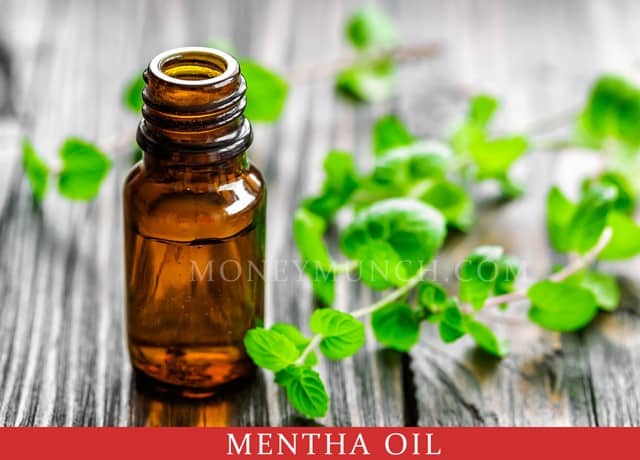 FREE Mentha oil tips