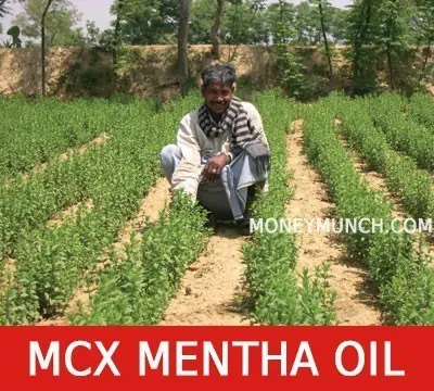 free commodity mentha oil intraday tips