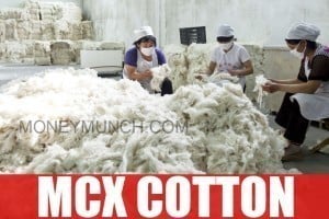 mcx cotton intraday tips