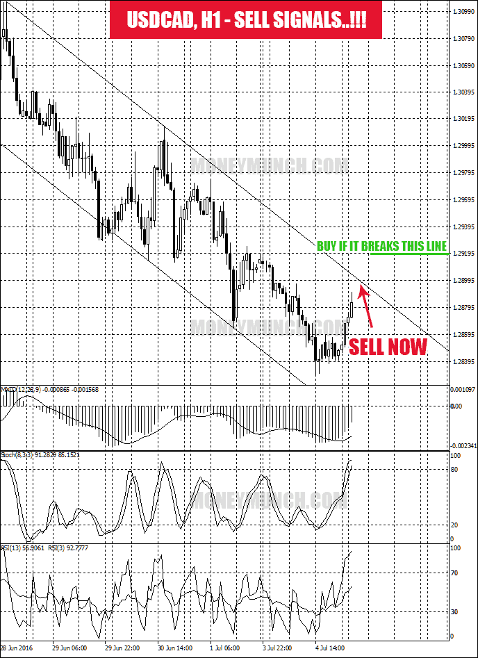 free usdcad live sell signals