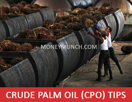 mcx crude palm oil intraday tips