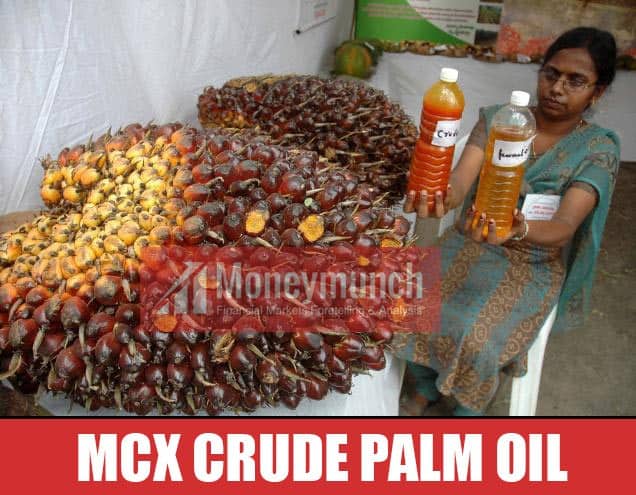 crude palm oil tips