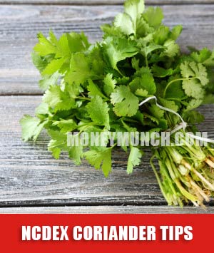 ncdex coriander tips