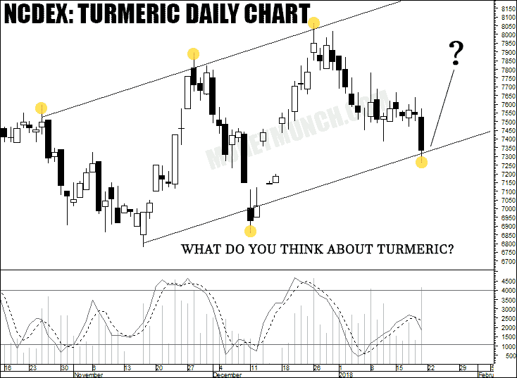 turmeric tips