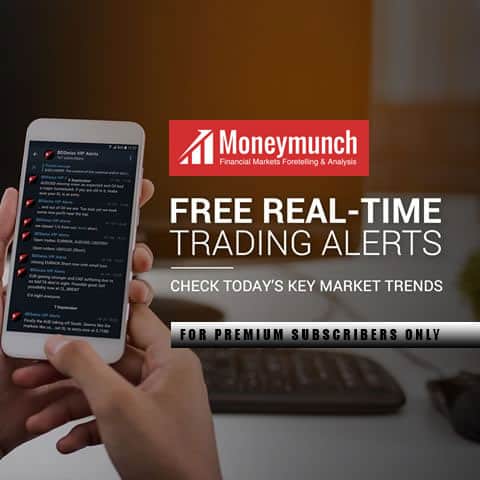 trading alerts & support