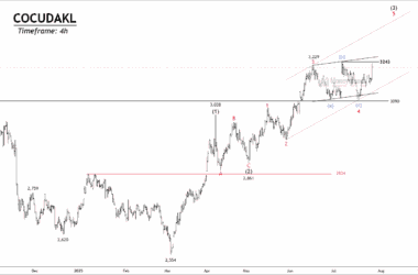 Free ncdex cocudakl chart calls