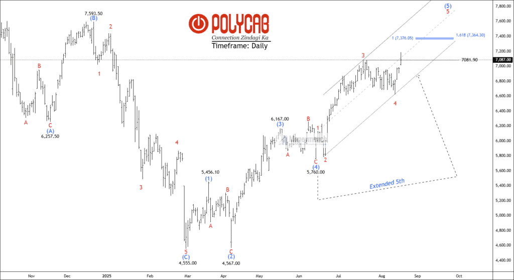 free nse polycab chart calls